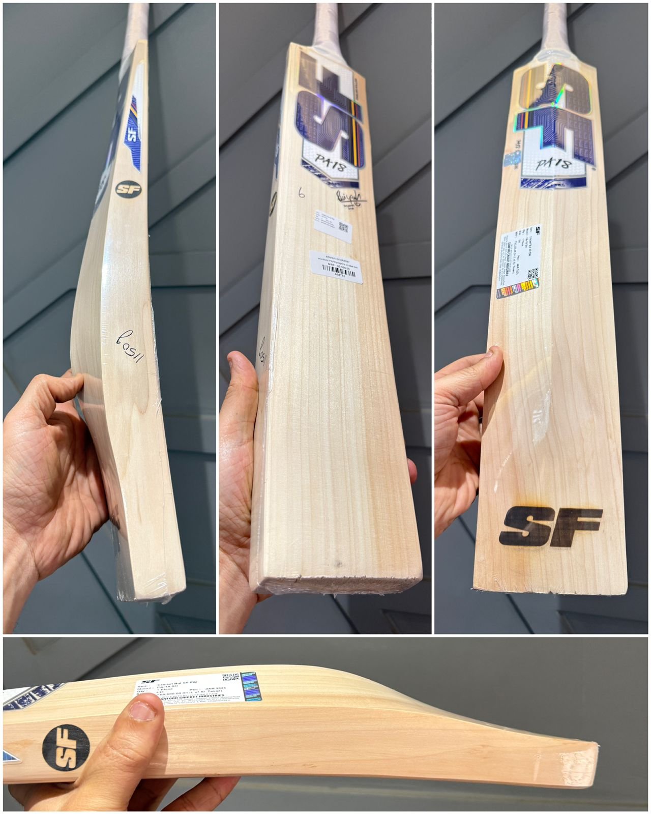 Stanford Priyansh Arya Players Bat