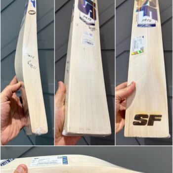 Stanford Priyansh Arya Players Bat