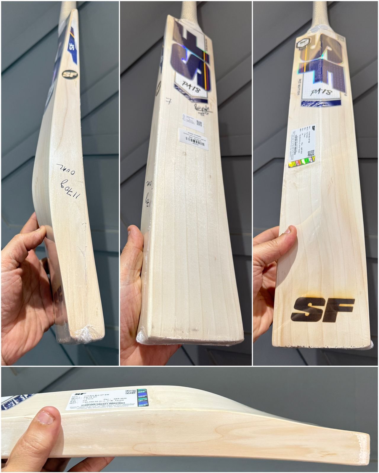 Stanford Priyansh Arya Players Bat