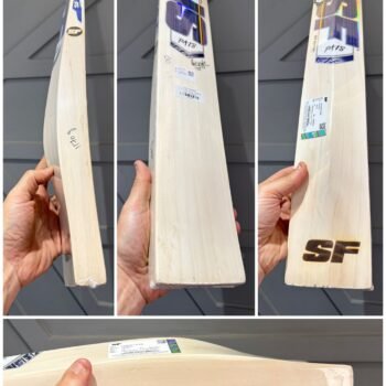 Stanford Priyansh Arya Players Bat