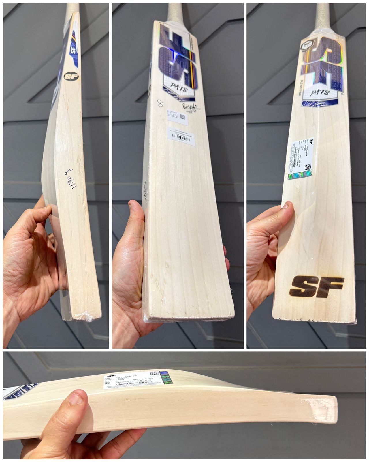 Stanford Priyansh Arya Players Bat