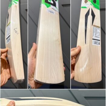 DSC SPLIT 500 CRICKET BAT