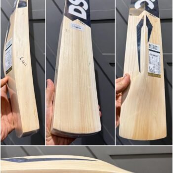 DSC blak 111 cricket bat