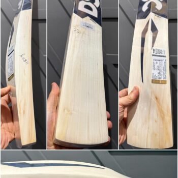 DSC blak 111 cricket bat