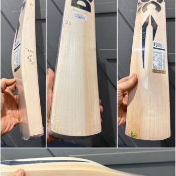 DSC blak maverick cricket bat