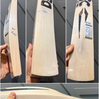 DSC blak monza cricket bat