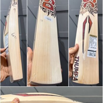 DSC thumpa 3000 cricket bat