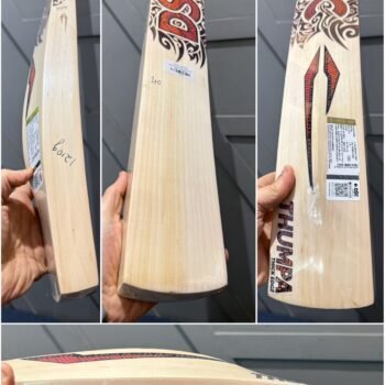 DSC thumpa 3000 cricket bat