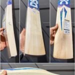 Dsc Blu 100 cricket Bat