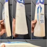 Dsc Blu 200 cricket Bat