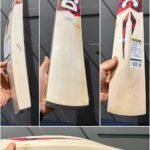 Dsc Intense Attitude cricket Bat
