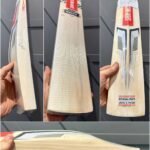 GRAY NICOLLS GNX 400 DELTA CRICKET BAT
