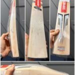 GRAY NICOLLS GNX 400 DELTA CRICKET BAT