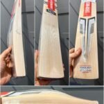 GRAY NICOLLS GNX 400 DELTA CRICKET BAT