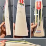 GRAY NICOLLS GNX 900 IMPERIA CRICKET BAT