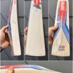 GRAY NICOLLS STRATOS BEAST CRICKET BAT