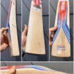 GRAY NICOLLS STRATOS BEAST CRICKET BAT