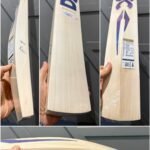 dsc Blu Mirage Cricket Bat