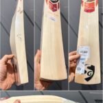 SG KLR class cricket bat