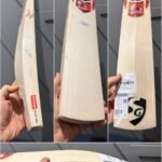 SG Roar cricket bat
