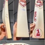 EM 360 BOLD CRICKET BAT
