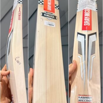 Gray Nicolls Delta Blazer Cricket Bat