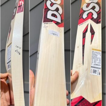 DSC Intense Ferocity  6 Cricket bat size 6
