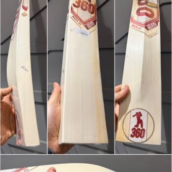 EM 360 BOLD CRICKET BAT