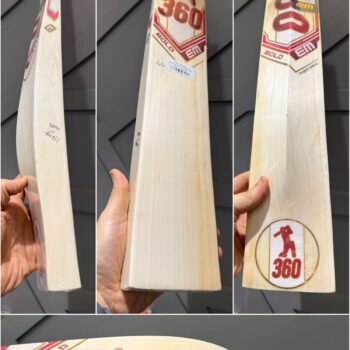 EM 360 BOLD CRICKET BAT