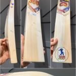 EM 360 PLAY BURST CRICKET BAT