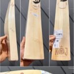 Sg King of the Jungle 2.0 cricket bat