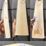 Sg King of the Jungle 2.0 cricket bat
