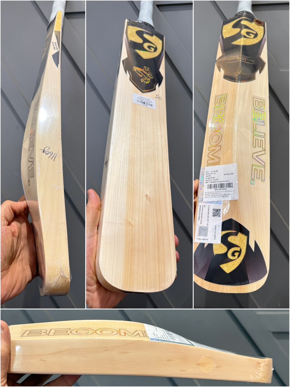 SG HP T-20 Cricket Bat