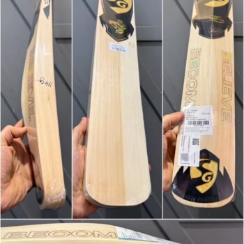 SG HP T-20 Cricket Bat