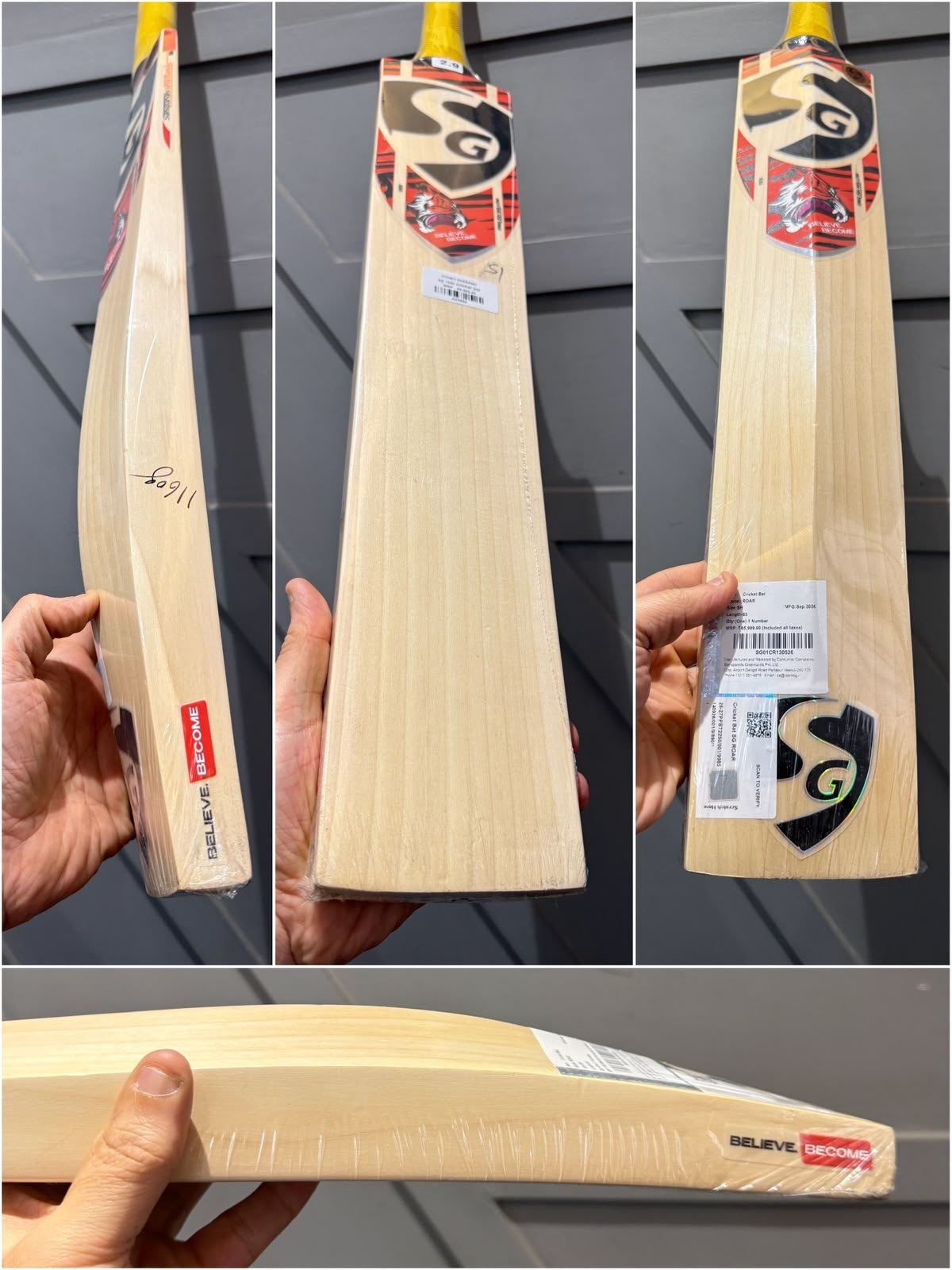 SG Roar Cricket Bat