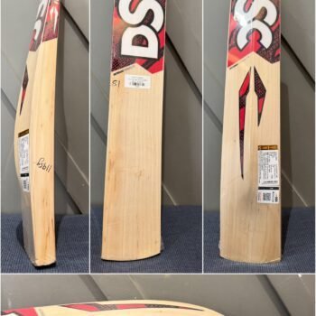 DSC Intense Ferocity Cricket Bat