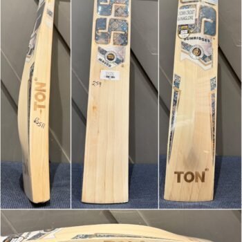 SS Waves Cricket Bat
