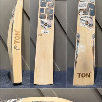 SS Waves Cricket Bat