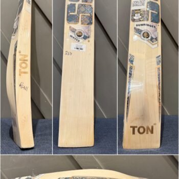 SS Waves Cricket Bat