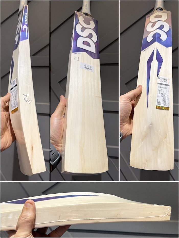 DSC Blu 200 Cricket Bat